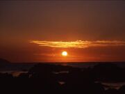 仁江海岸の写真1