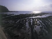 仁江海岸の写真2