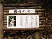 楊梅の滝の写真1