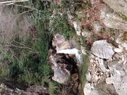 楊梅の滝の写真2