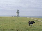 対馬瀬鼻灯台の写真1