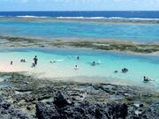 屋子母海岸の写真2