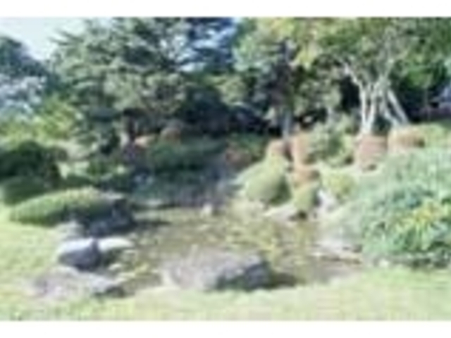 煙雲館庭園の写真1