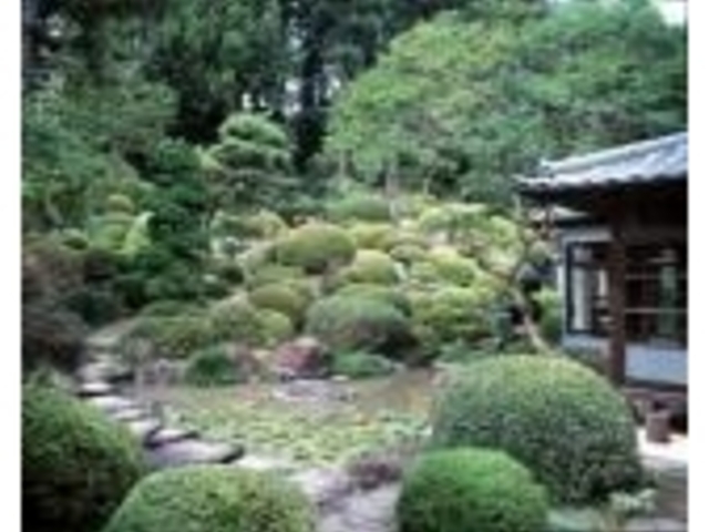 龍島院池泉鑑賞式庭園の写真1