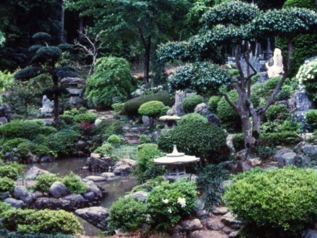 豊泉寺の庭園の写真1
