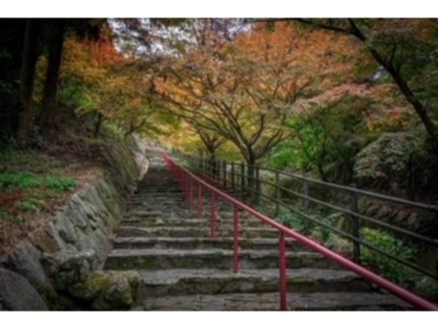 秋の紅葉参道_普光寺