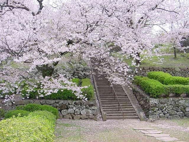 旧円融寺庭園