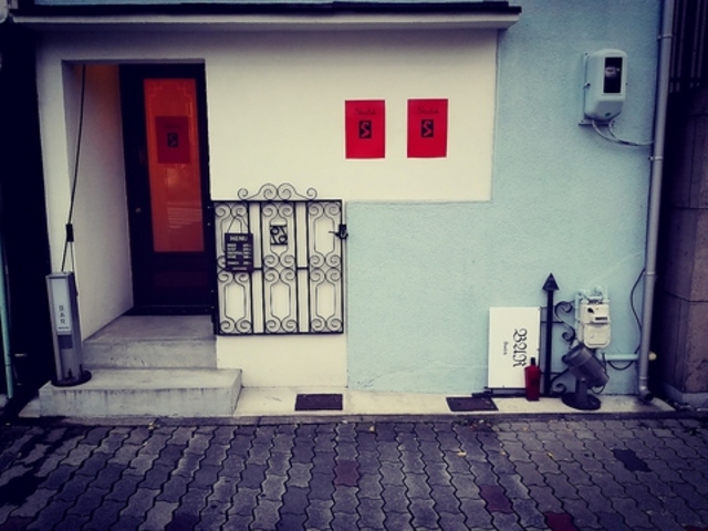 スターフィッシュ Starfishの写真1