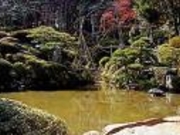 煙雲館庭園の写真2