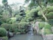 龍島院池泉鑑賞式庭園の写真3