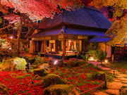 石の寺 教林坊の写真4