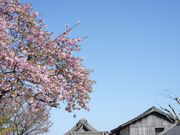 仙巌園の写真2