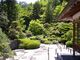 絲原家庭園 洗心乃路の写真2