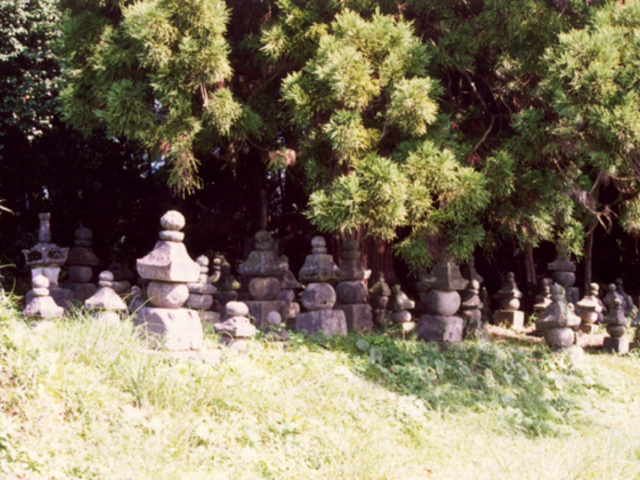 頼朝の墓の写真1