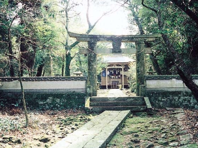 金比羅山の写真1