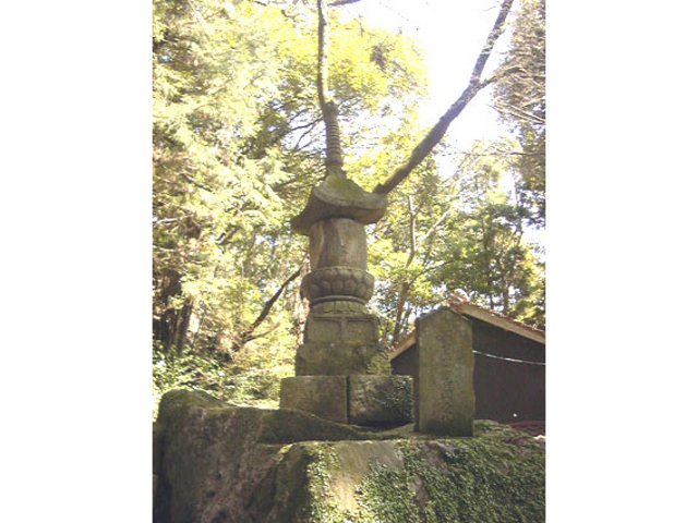 岩戸寺国東塔の写真1