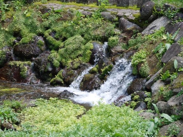 出の山湧水の写真1