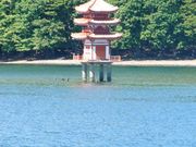 円空観音像の写真1