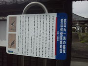 武田氏一族の墓域の写真1