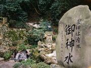 泉神社湧水の写真1