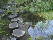 出の山湧水の写真3
