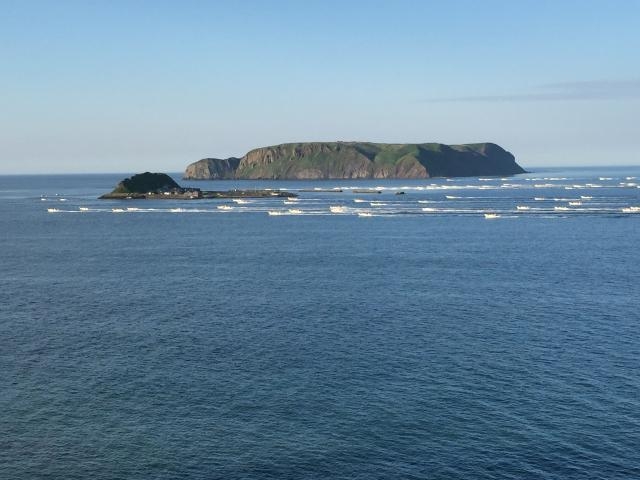 昆布船出漁の写真1