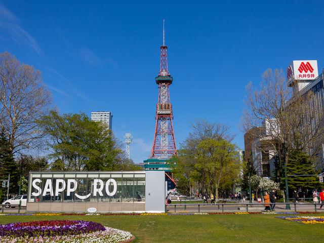 大通公園から見るさっぽろテレビ塔_さっぽろテレビ塔