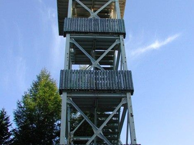 ふるさと2000年の森展望台の写真1