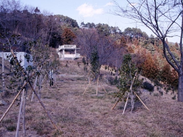 通岡展望台の写真1
