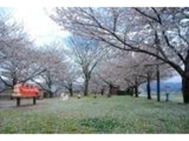 白峰園地展望台