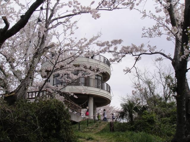 積善山展望台の写真1