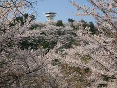 谷上山公園の写真1