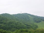 新得山展望台の写真1