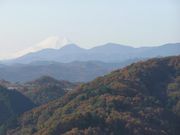 天覧山展望台の写真2