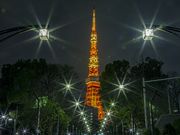 東京タワーの写真4