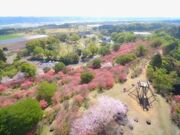 高取山展望台の写真3