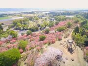 高取山展望台の写真1