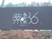 紫あやめ36の写真2