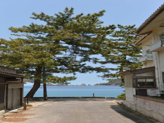 佐津温泉