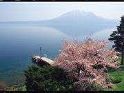 丸駒温泉旅館の写真2