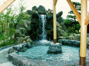 弥栄あしぎぬ温泉の写真1