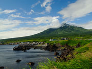 利尻島一周 観光タクシーコースの写真1