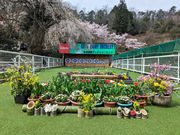 佐伯国際アーチェリーランドの写真2