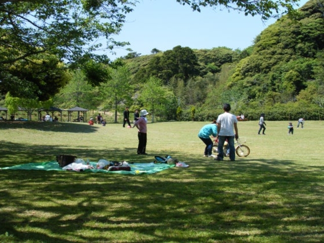 東庄県民の森の写真1