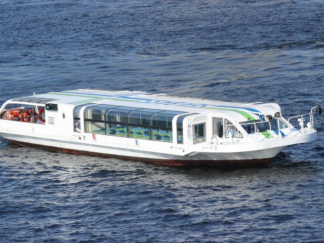 シーバス