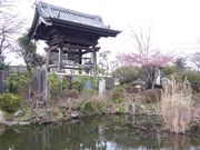宗吾霊堂の桜の写真1