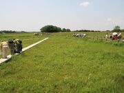 成東・東金食虫植物群落地の写真2