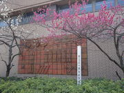 川崎市青少年の家の写真3