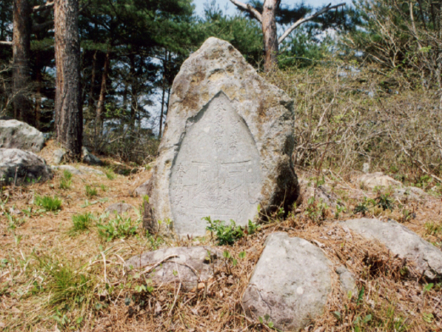 阿津賀志山三十三観音八十八大師画像碑群の写真1