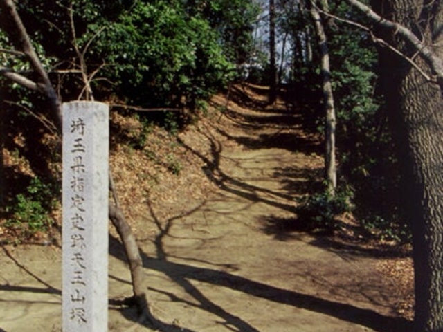 天王山塚の写真1